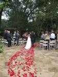 The Bride and Groom at Elegant Attic