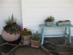 Gardening Classes