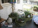 Gardening Under Glass