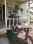hanging plants on teh porch